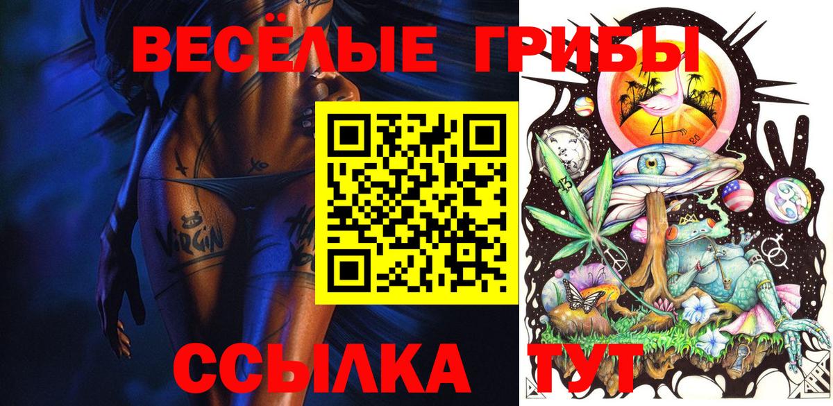 Галлюциногенные грибы Cubensis Дзержинский