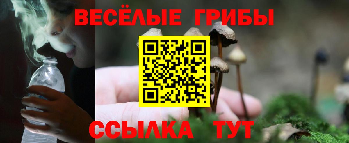 Псилоцибиновые грибы Cubensis  Вход с VPN  Псилоцибиновые грибы мицелий  Дзержинский 